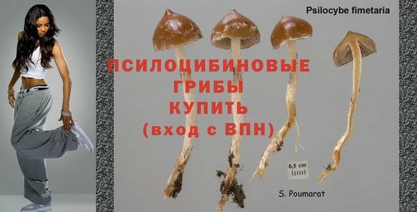 дурь Липки