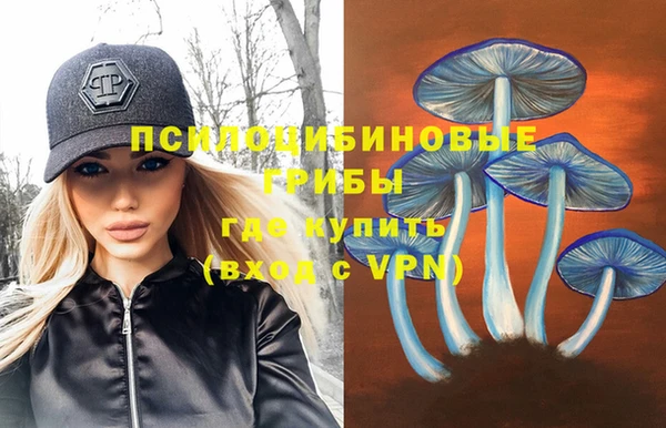 спиды Лиски