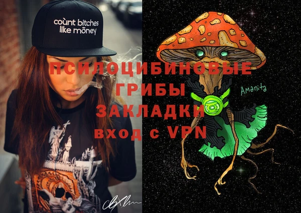 спиды Лиски