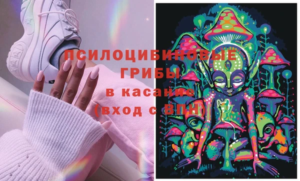 спиды Лиски