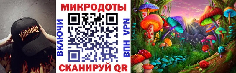 Галлюциногенные грибы Psilocybe  магазин продажи наркотиков  Малгобек 